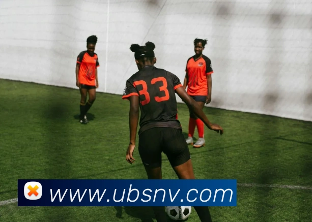 多媒体互动体验