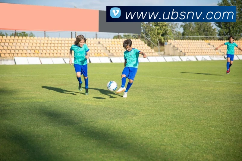 数据防护可视化